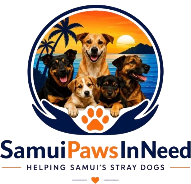Samui Paws In Need